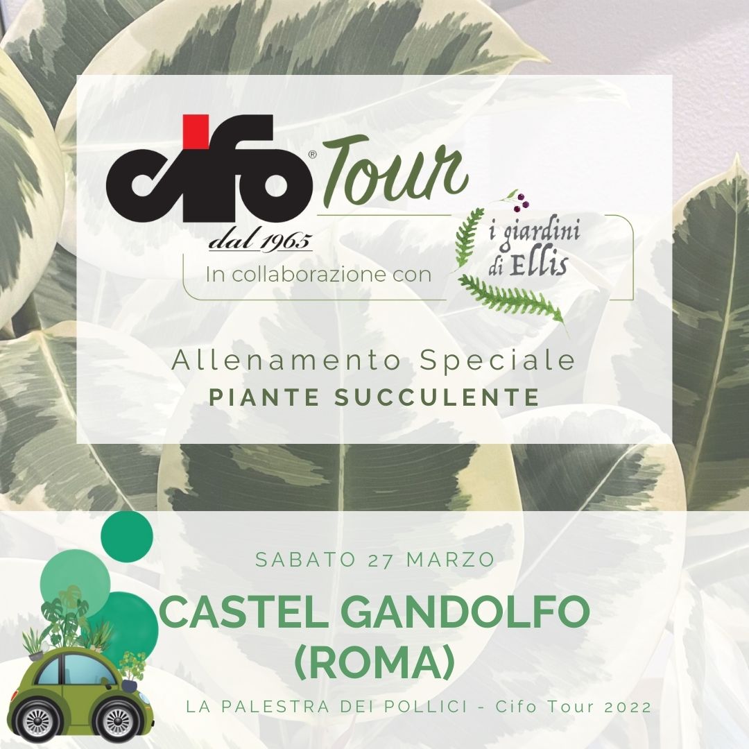 CIFO TOUR - CASTEL GANDOLFO ROMA