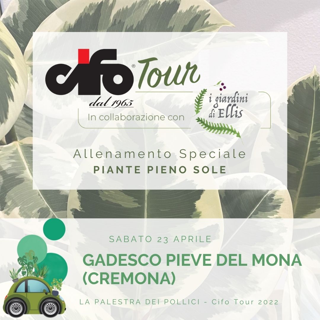 CIFO TOUR_I GIARDINI DI ELLIS_CREMONA