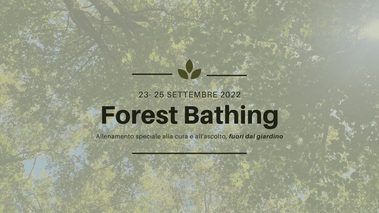 Forest Bathing _I Giardini di Ellis