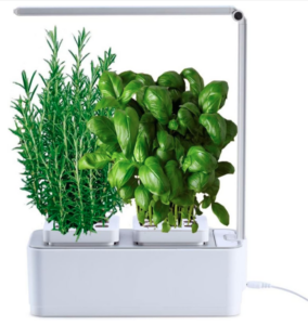 luce artificiale per piante smart garden